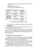 Diplomdarbs 'Akciju sabiedrības "Admirāļu klubs" darbības izvērtējums pašreizējos ekonomiskaj', 32.