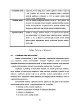 Diplomdarbs 'Akciju sabiedrības "Admirāļu klubs" darbības izvērtējums pašreizējos ekonomiskaj', 40.
