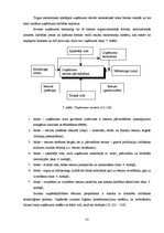 Diplomdarbs 'Akciju sabiedrības "Admirāļu klubs" darbības izvērtējums pašreizējos ekonomiskaj', 41.