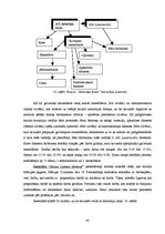 Diplomdarbs 'Akciju sabiedrības "Admirāļu klubs" darbības izvērtējums pašreizējos ekonomiskaj', 80.