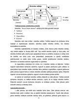Diplomdarbs 'Akciju sabiedrības "Admirāļu klubs" darbības izvērtējums pašreizējos ekonomiskaj', 81.
