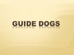 Prezentācija 'Guide Dogs', 1.