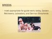 Prezentācija 'Guide Dogs', 8.