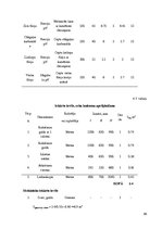 Biznesa plāns 'Ēdināšanas uzņēmuma tehnoloģiskais projekts', 38.