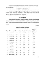 Biznesa plāns 'Ēdināšanas uzņēmuma tehnoloģiskais projekts', 39.