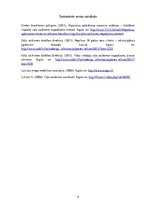 Eseja 'Faktori, kuri visbiežāk izraisa ceļu satiksmes negadījumus', 4.