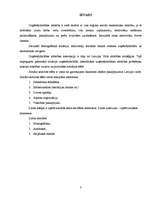 Referāts 'Sociālās sadzīves sfēra', 3.