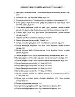 Referāts 'Sociālās sadzīves sfēra', 37.