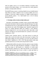 Diplomdarbs 'Dziļviltojumu izmantošana politiskajās kampaņās', 6.