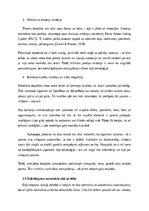 Diplomdarbs 'Dziļviltojumu izmantošana politiskajās kampaņās', 13.