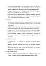 Diplomdarbs 'Dziļviltojumu izmantošana politiskajās kampaņās', 28.