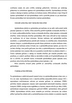 Biznesa plāns 'Apdrošināšanas akciju sabiedrība "Insurance lines"', 8.
