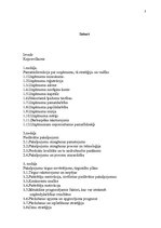 Biznesa plāns 'Jaunas ražotnes attīstībasplānošana', 3.