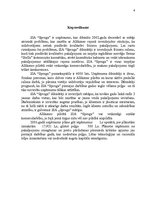 Biznesa plāns 'Jaunas ražotnes attīstībasplānošana', 6.