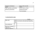 Biznesa plāns 'Jaunas ražotnes attīstībasplānošana', 18.