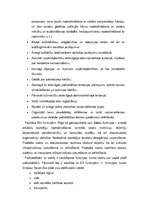 Konspekts 'Pašvaldības', 3.