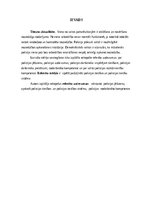 Referāts 'Policijas tiesības', 3.