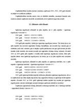 Prakses atskaite 'SIA „BLC” raksturojums', 9.