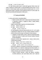 Prakses atskaite 'SIA „BLC” raksturojums', 10.