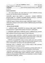 Prakses atskaite 'SIA „BLC” raksturojums', 17.