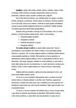 Referāts 'Konflikts organizācijā', 2.