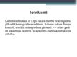 Prezentācija 'Pacienta informētība par 2.tipa cukura diabēta komplikācijām', 14.