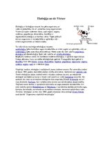 Referāts 'Ekoloģija', 4.