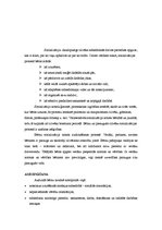 Referāts 'Bērna socializācija sabiedrībā', 2.