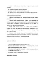 Referāts 'Bērna socializācija sabiedrībā', 3.