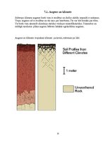 Konspekts 'Dēdēšana: iežu sairšana un nogulšņu avots nogulšņu iežos', 16.