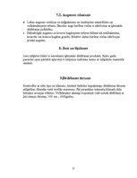 Konspekts 'Dēdēšana: iežu sairšana un nogulšņu avots nogulšņu iežos', 17.