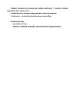 Konspekts 'Stratēģiskais menedžments teorijās', 5.