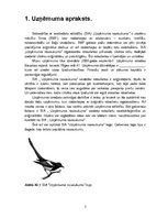 Biznesa plāns 'Biznesa plāns', 5.