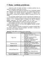 Biznesa plāns 'Biznesa plāns', 13.