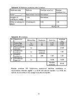 Biznesa plāns 'Biznesa plāns', 16.