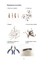 Biznesa plāns 'Biznesa plāns', 19.