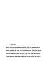 Referāts 'Tiesu iekārta Livonijā', 10.