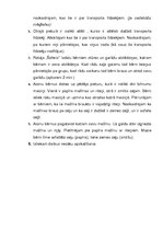 Konspekts 'Konspekts runas nodarbībā. Tēma "Transports"', 2.