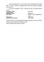 Biznesa plāns 'Viesnīca "Zemīte"', 3.