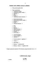 Biznesa plāns 'Viesnīca "Zemīte"', 9.