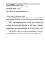 Biznesa plāns 'Viesnīca "Zemīte"', 13.