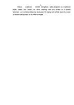 Biznesa plāns 'Viesnīca "Zemīte"', 19.