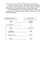 Biznesa plāns 'Viesnīca "Zemīte"', 30.