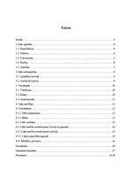 Referāts 'Lūsis', 2.