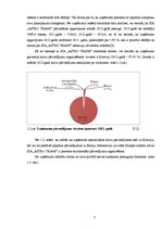 Prakses atskaite 'Prakses atskaite loģistikas uzņēmumā', 7.