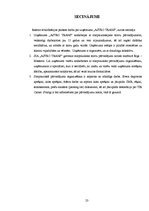 Prakses atskaite 'Prakses atskaite loģistikas uzņēmumā', 23.