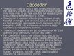 Prezentācija 'Daoisms', 10.