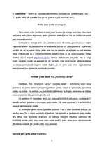 Eseja 'Preču zīmes kā intelektuālais īpašums', 2.