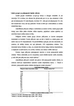 Konspekts 'Datu vākšanas posms mārketinga pētījumā', 2.