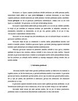 Referāts 'Galvojums', 4.